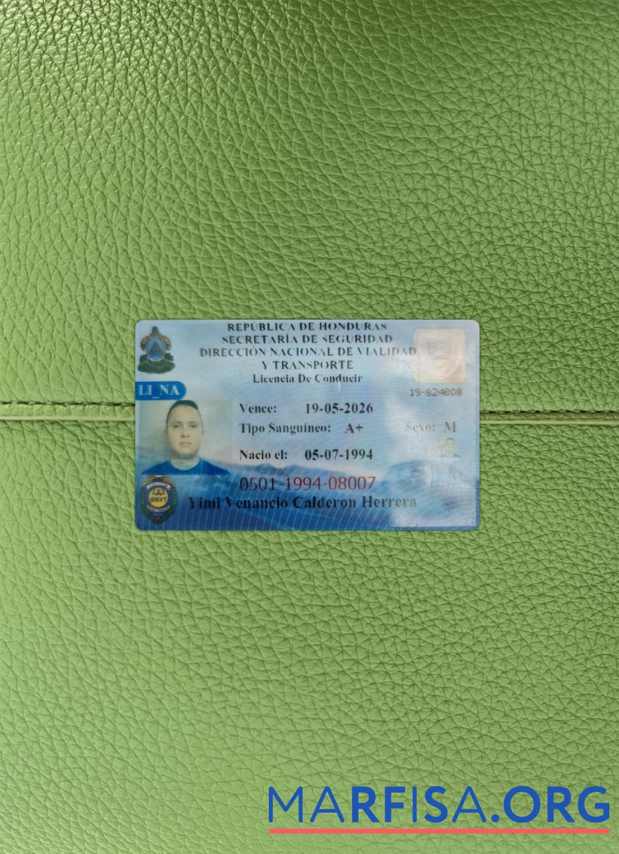 Printable Honduras driving license photolook real example